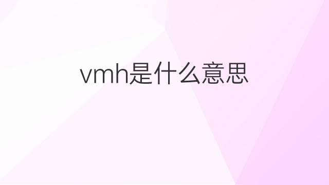 vmh是什么意思 vmh的中文翻译、读音、例句