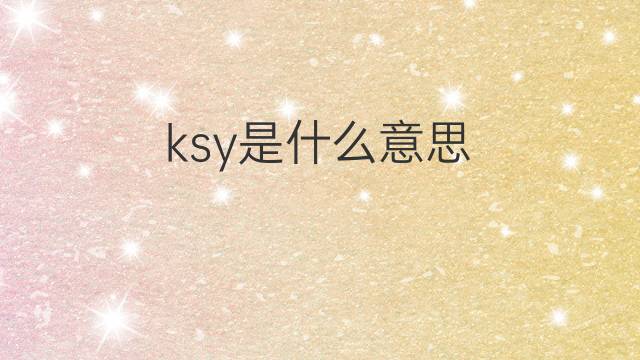 ksy是什么意思 ksy的中文翻译、读音、例句