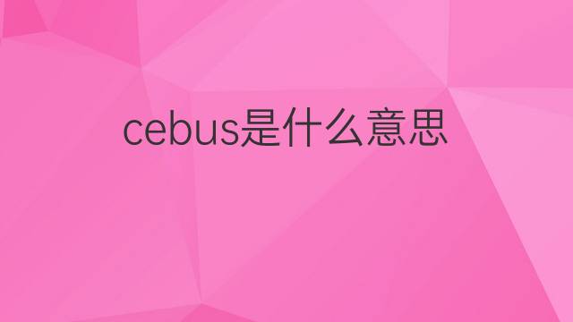 cebus是什么意思 cebus的中文翻译、读音、例句