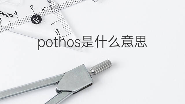 pothos是什么意思 英文名pothos的翻译、发音、来源