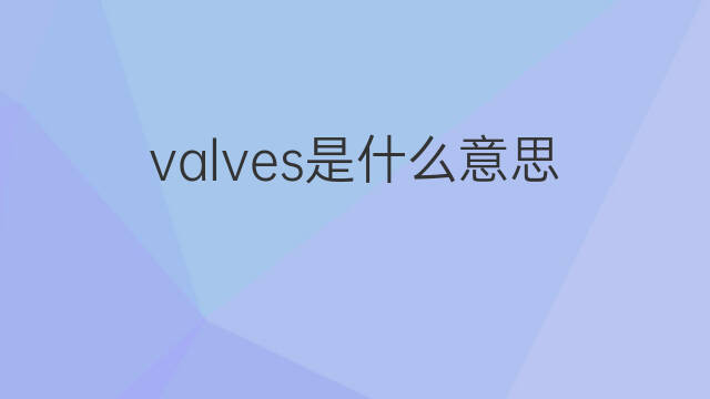 valves是什么意思 valves的中文翻译、读音、例句