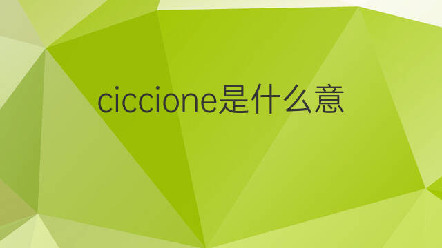 ciccione是什么意思 ciccione的中文翻译、读音、例句
