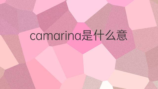 camarina是什么意思 camarina的中文翻译、读音、例句