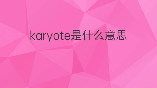 karyote是什么意思 karyote的中文翻译、读音、例句