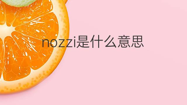 nozzi是什么意思 nozzi的翻译、读音、例句、中文解释