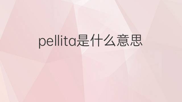 pellita是什么意思 pellita的翻译、读音、例句、中文解释