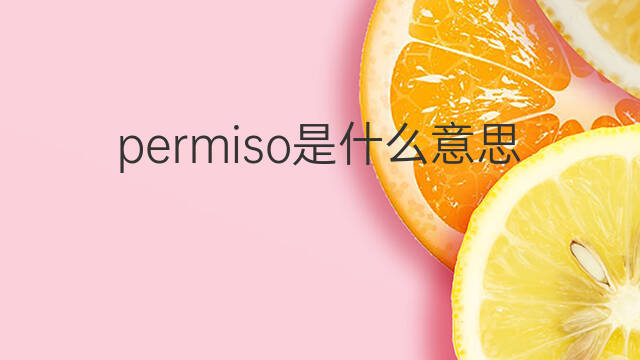 permiso是什么意思 permiso的中文翻译、读音、例句
