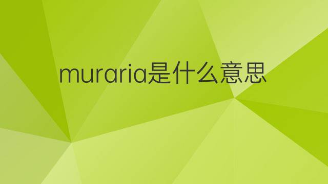 muraria是什么意思 muraria的中文翻译、读音、例句