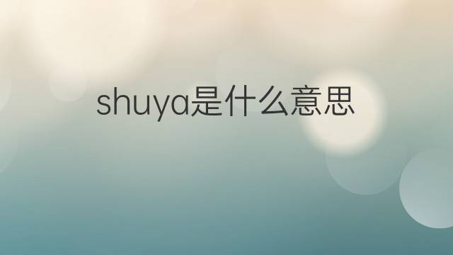 shuya是什么意思 shuya的中文翻译、读音、例句