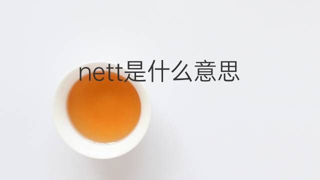 nett是什么意思 nett的中文翻译、读音、例句