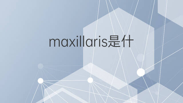 maxillaris是什么意思 maxillaris的中文翻译、读音、例句