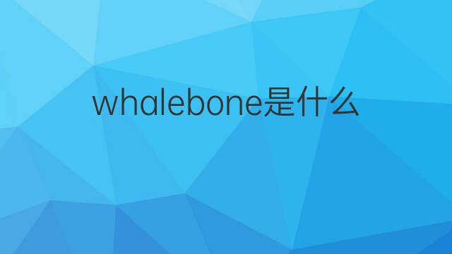 whalebone是什么意思 whalebone的中文翻译、读音、例句