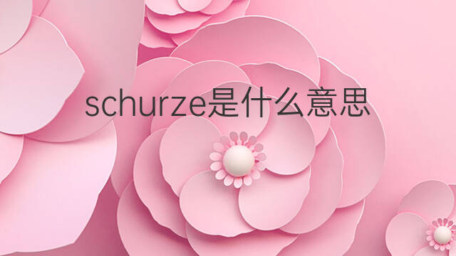 schurze是什么意思 schurze的中文翻译、读音、例句