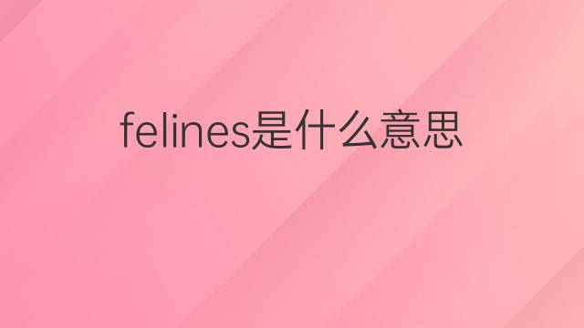 felines是什么意思 felines的中文翻译、读音、例句