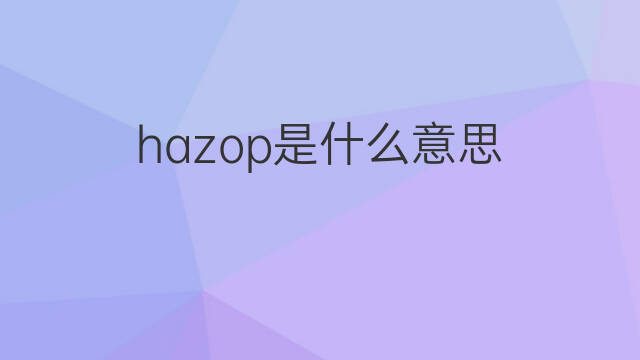 hazop是什么意思 hazop的中文翻译、读音、例句