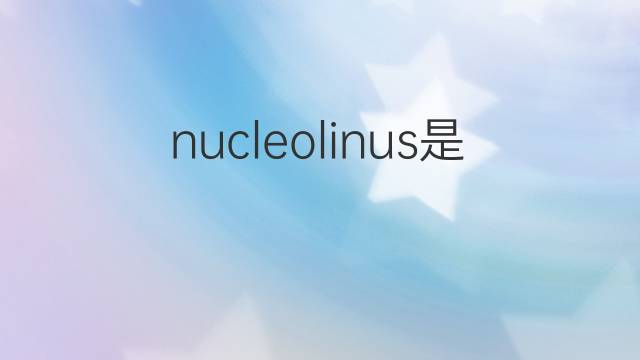 nucleolinus是什么意思 nucleolinus的中文翻译、读音、例句