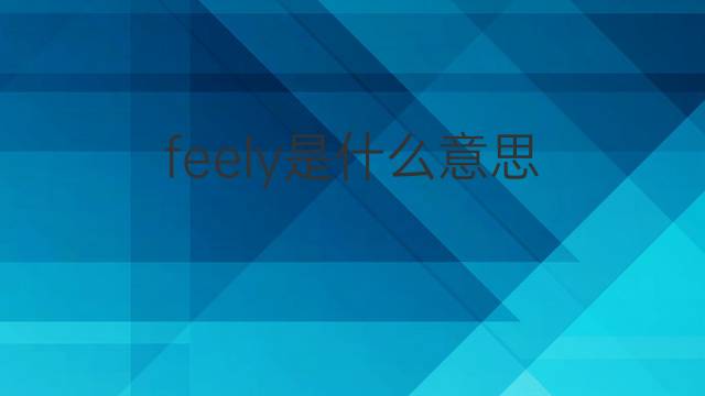 feely是什么意思 feely的翻译、读音、例句、中文解释