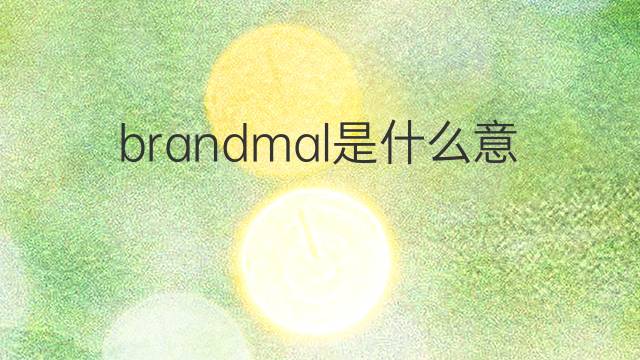 brandmal是什么意思 brandmal的中文翻译、读音、例句
