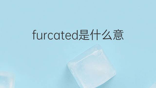 furcated是什么意思 furcated的中文翻译、读音、例句