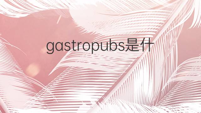gastropubs是什么意思 gastropubs的中文翻译、读音、例句