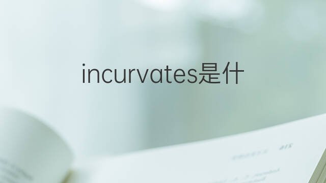 incurvates是什么意思 incurvates的中文翻译、读音、例句