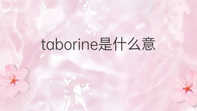 taborine是什么意思 taborine的中文翻译、读音、例句