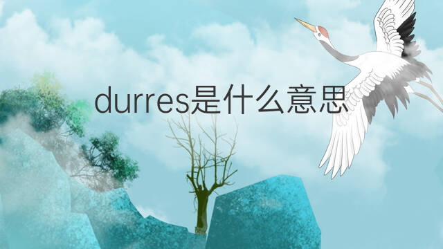 durres是什么意思 durres的中文翻译、读音、例句