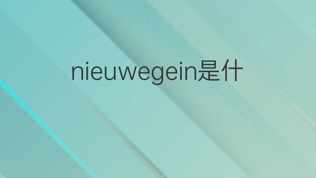 nieuwegein是什么意思 nieuwegein的中文翻译、读音、例句