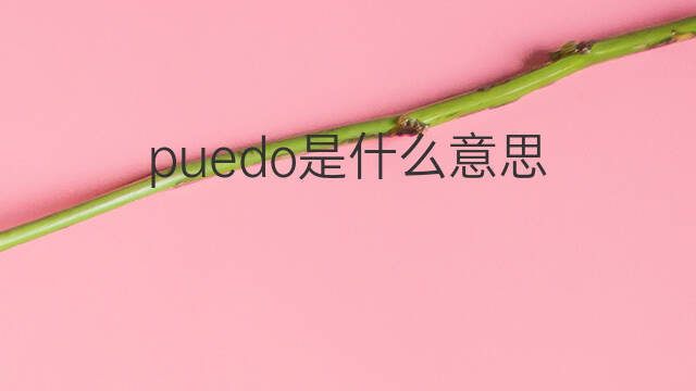 puedo是什么意思 puedo的中文翻译、读音、例句