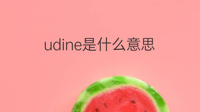 udine是什么意思 udine的中文翻译、读音、例句