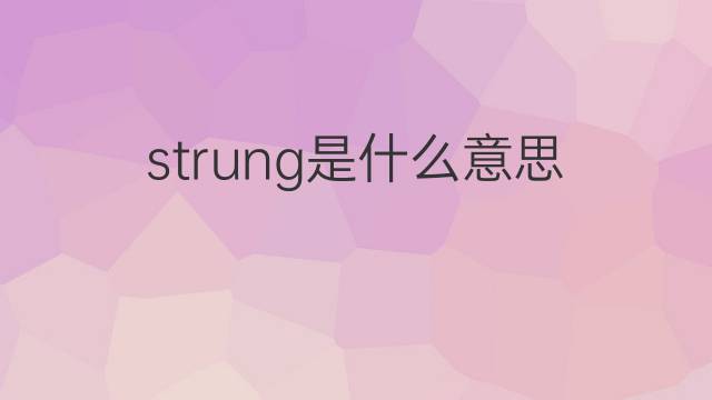 strung是什么意思 strung的中文翻译、读音、例句