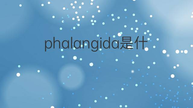 phalangida是什么意思 phalangida的中文翻译、读音、例句