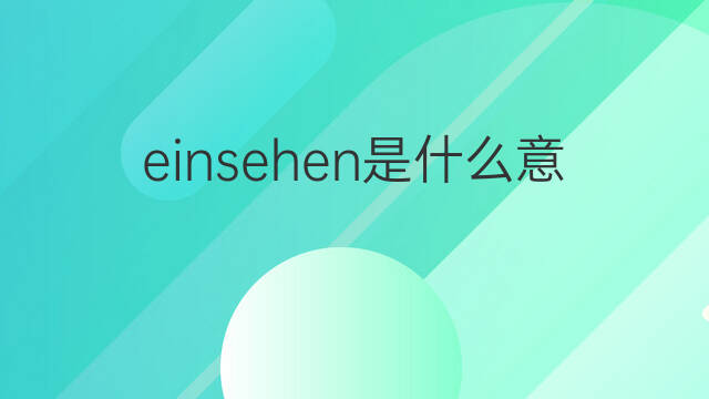 einsehen是什么意思 einsehen的中文翻译、读音、例句