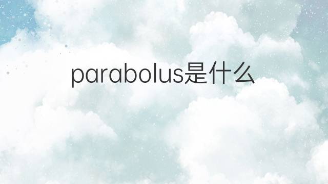parabolus是什么意思 parabolus的中文翻译、读音、例句