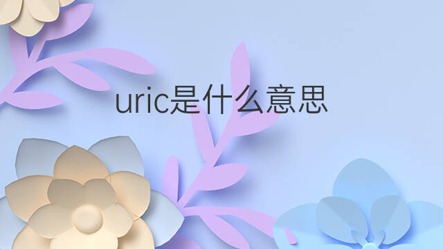 uric是什么意思 uric的中文翻译、读音、例句