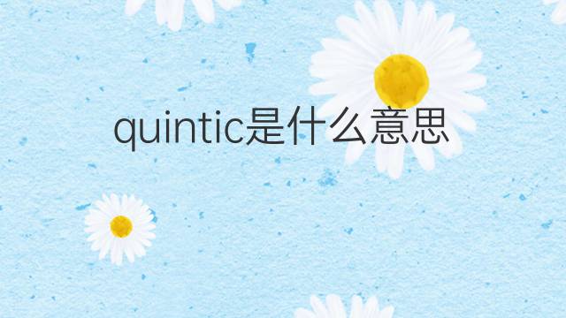 quintic是什么意思 quintic的中文翻译、读音、例句