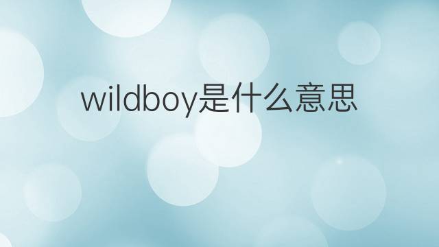 wildboy是什么意思 wildboy的中文翻译、读音、例句