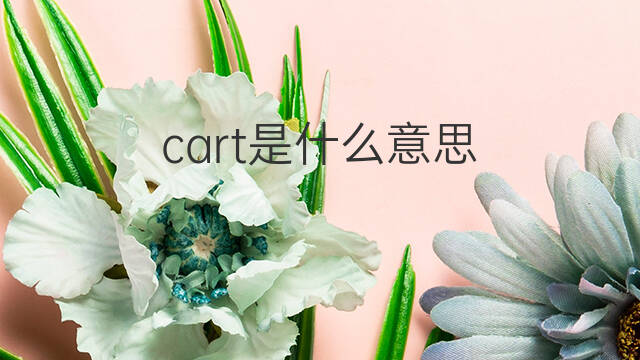 cart是什么意思 cart的中文翻译、读音、例句