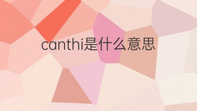 canthi是什么意思 canthi的中文翻译、读音、例句