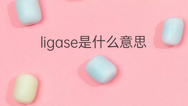 ligase是什么意思 ligase的中文翻译、读音、例句