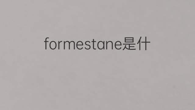 formestane是什么意思 formestane的中文翻译、读音、例句