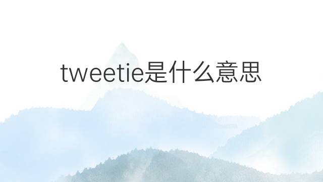 tweetie是什么意思 tweetie的中文翻译、读音、例句