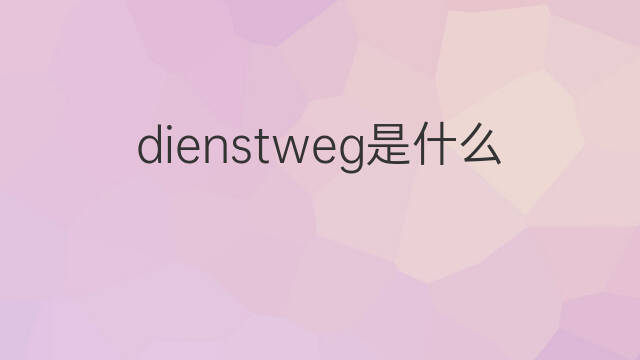 dienstweg是什么意思 dienstweg的中文翻译、读音、例句