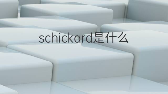 schickard是什么意思 schickard的中文翻译、读音、例句