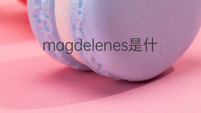 magdelenes是什么意思 magdelenes的中文翻译、读音、例句