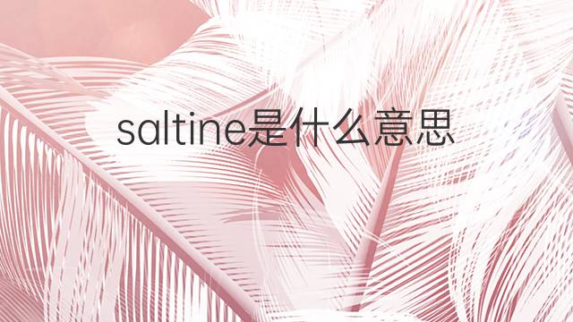saltine是什么意思 saltine的中文翻译、读音、例句