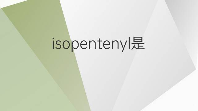 isopentenyl是什么意思 isopentenyl的中文翻译、读音、例句