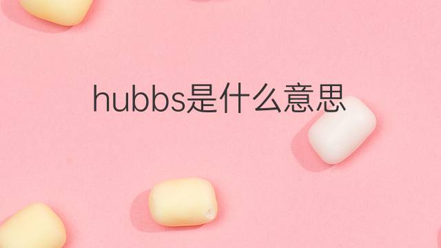 hubbs是什么意思 英文名hubbs的翻译、发音、来源