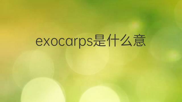 exocarps是什么意思 exocarps的中文翻译、读音、例句