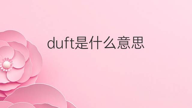 duft是什么意思 duft的中文翻译、读音、例句